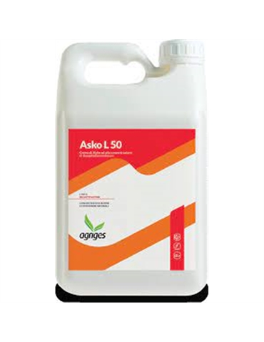 Asko L 50 crema di alghe ad alta concentrazione 5LT