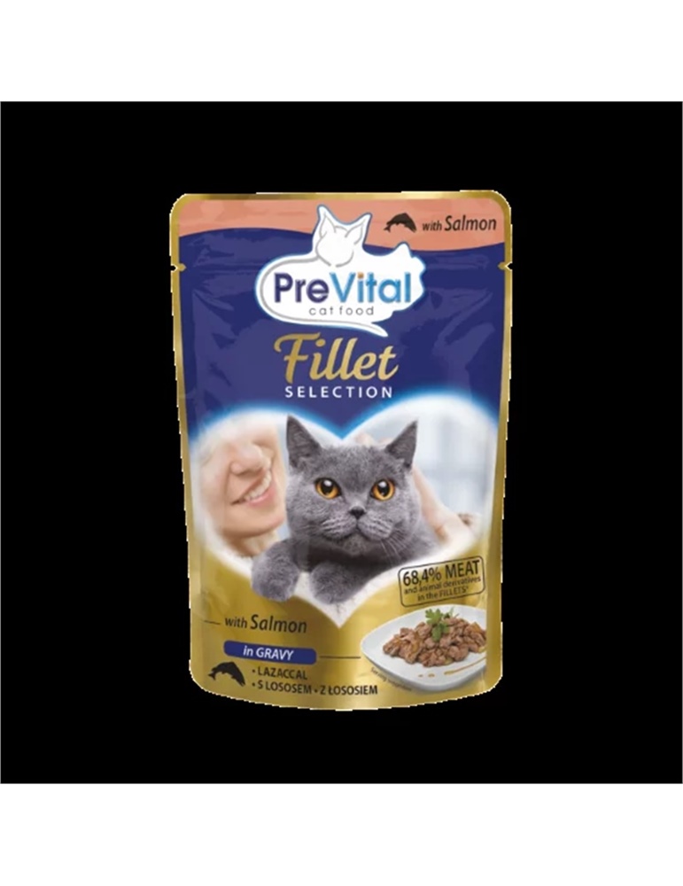 Prevital cat food with salmone in gravy GR 85