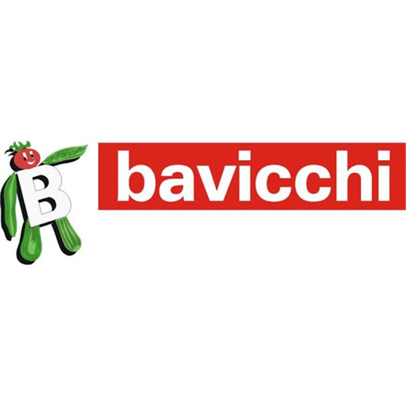 Bavicchi dario & figlio s.p.a